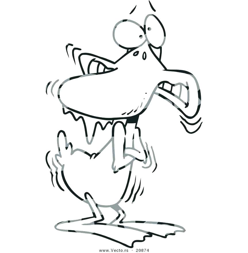 863x880 Duck Coloring Page Duck Coloring Page Mallard Duck Coloring Page