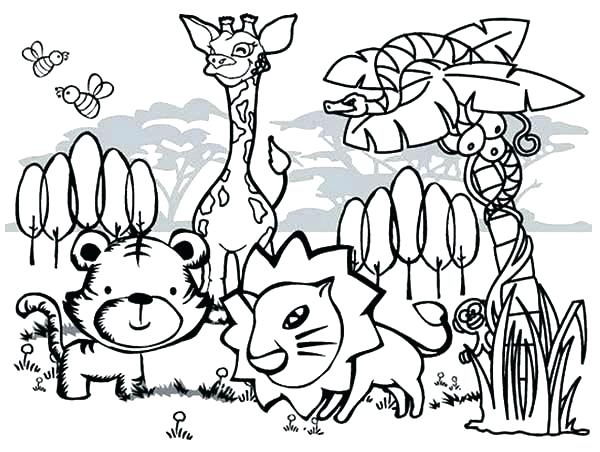 600x452 Forest Animals Coloring Pages Collage Coloring Pages Forest