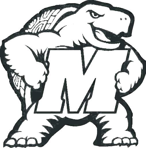 507x514 College Football Coloring Pages College Football Coloring Pages