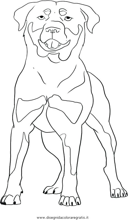 500x860 Collie Coloring Pages