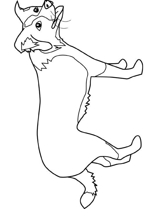 540x720 Dogs Coloring Pages Border Collie Animals Sheep