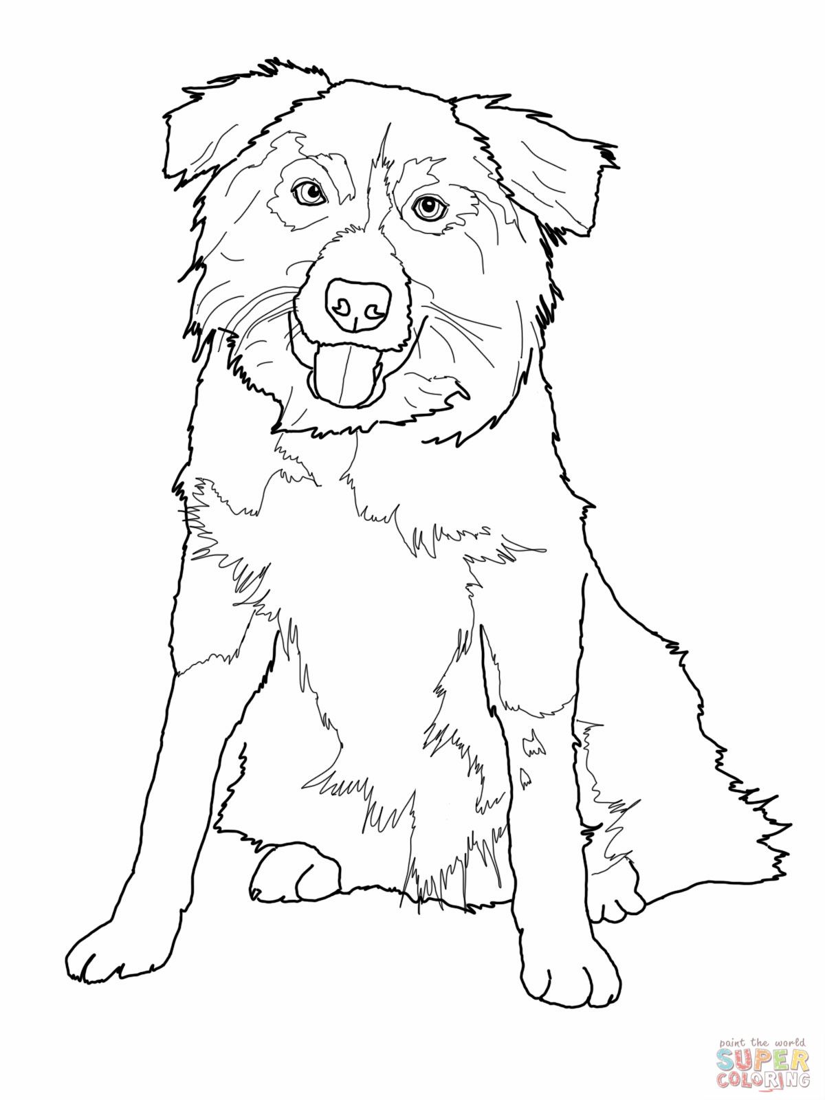 1200x1600 Free stencil dog border collie Border Collie Coloring Pages