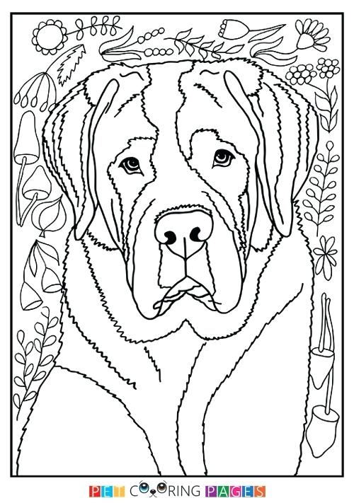 500x711 Border Collie Coloring Pages Border Collie Coloring Page Free
