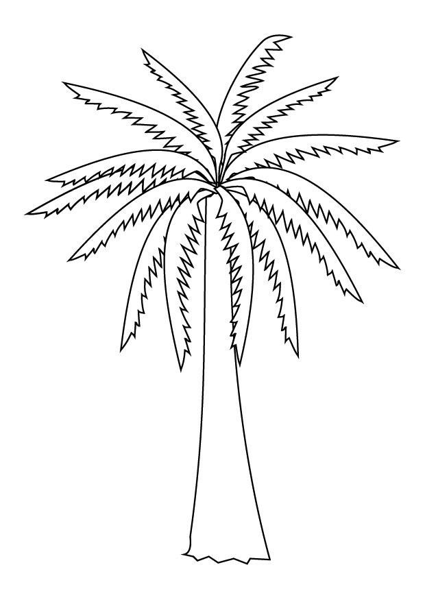 620x875 Cartoon Tree Coloring House Pages