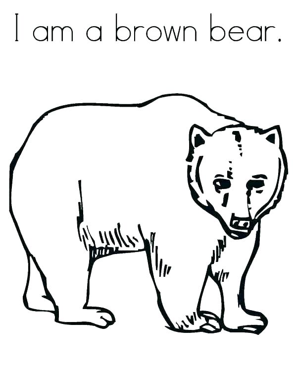 600x776 Pooh Bear Colouring Pages Online Bears Coloring Pages Happy Day