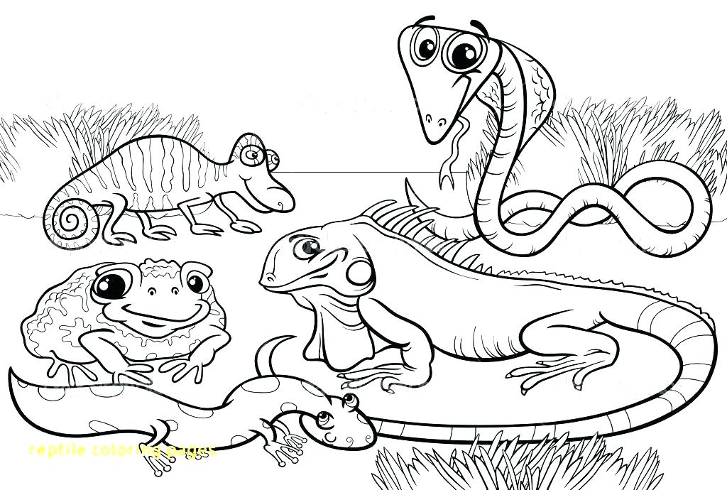 1024x690 Pdf Coloring Pages Color By Number Alligator Color Numbers