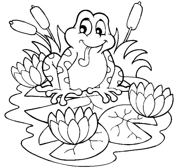 600x569 Color By Number Flower Coloring Pages Wonderful Design Ideas Color