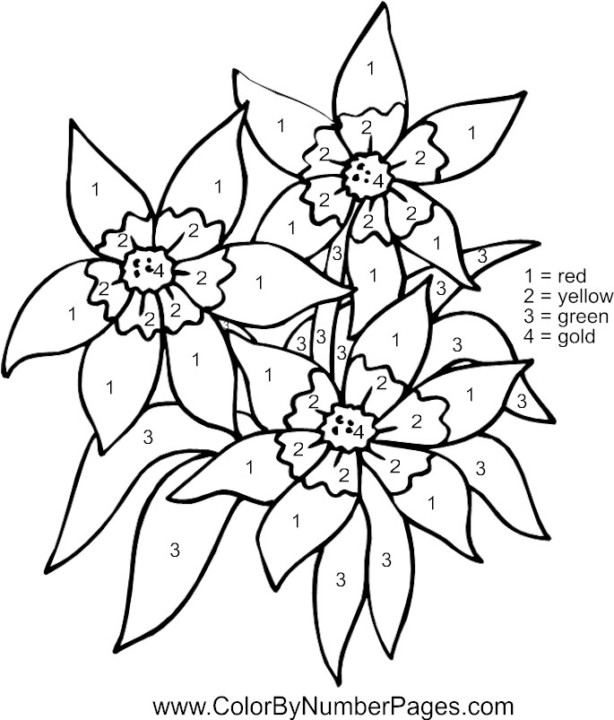 685x803 Color By Number Flower Coloring Pages Flower Color Number Pages