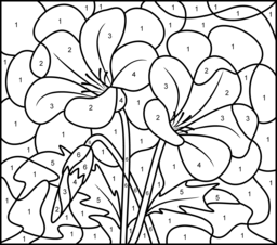 256x226 Color By Number Flowers