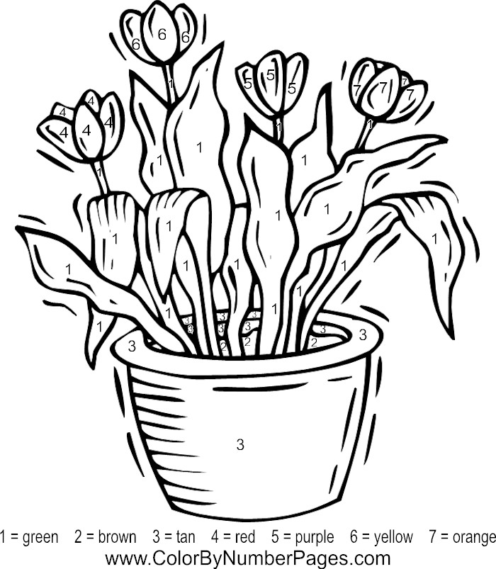 700x803 Color By Number Coloring Pages