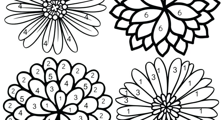 728x393 Color By Number Flowers