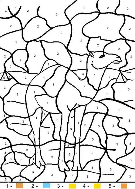 571x800 Animals Color By Number Coloring Pages