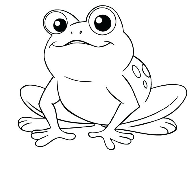 678x600 Online Frog Color Sheet For Pictures With Frog Color Sheet Sheets