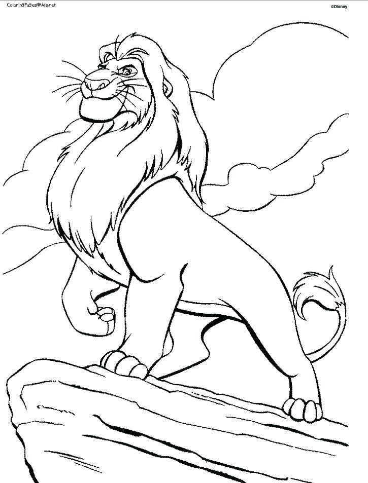 725x953 Lion Color Page Drawn Lion Coloring Page 4 Lion King Kovu