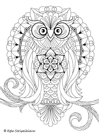 416x567 5fafdd54f6242ca6beb77dfd324d0de2.jpg Color Me Crazy
