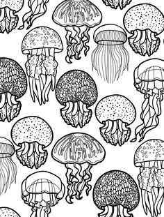 236x311 Oceano Perdido Para Colorir