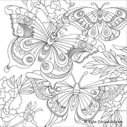 438x439 85386789c2a7f2db46e0d555bf214753.jpg Color Me Crazy