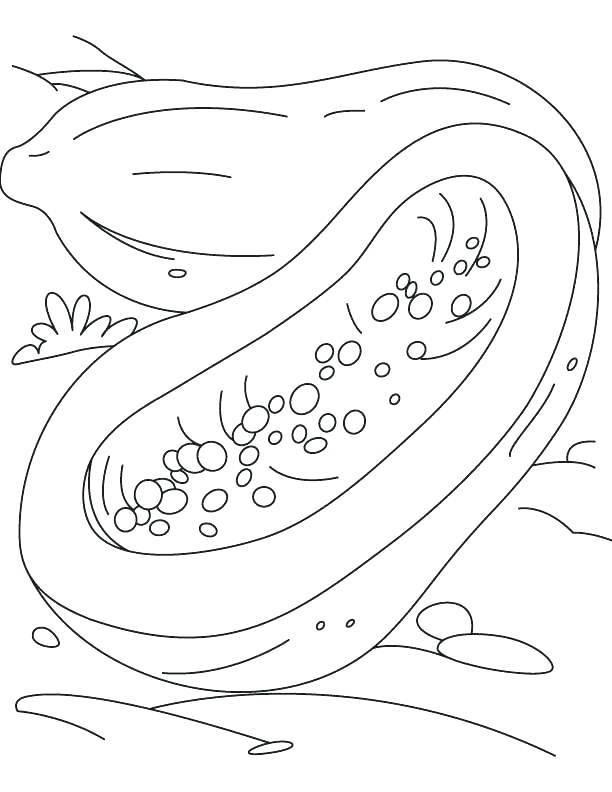 612x792 Yellow Coloring Pages Yellow Coloring Pages Macaw Coloring Pages