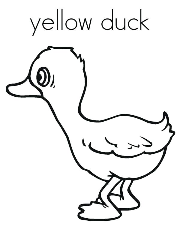 600x776 Yellow Finch Coloring Pages Submarine Page Print