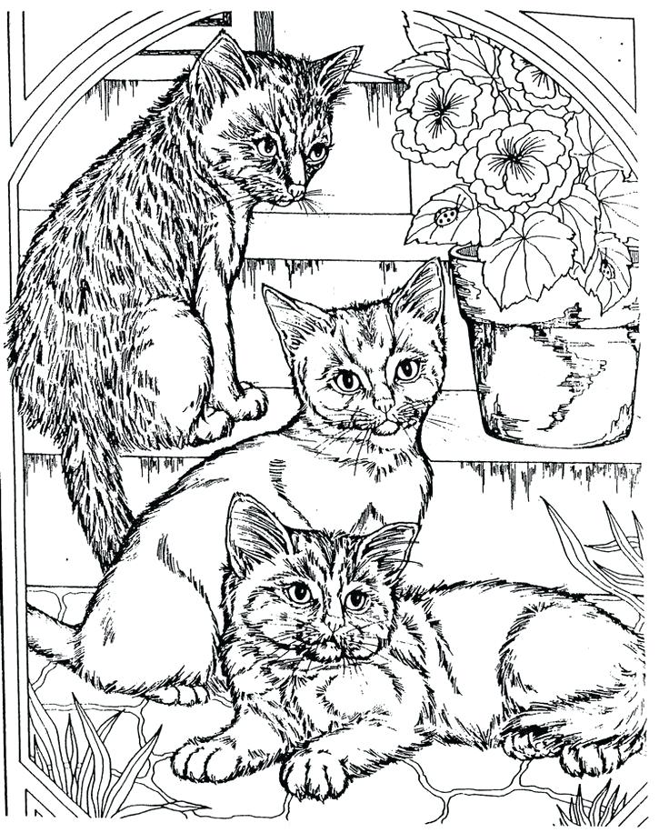 736x916 Cool Kid Coloring Pages Many Interesting Super Cool Coloring Pages