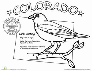 Colorado State Coloring Pages