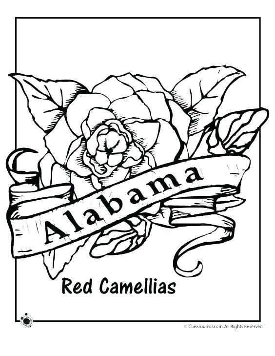 564x729 State Coloring Pages Coloring Pages Map Of United States Coloring