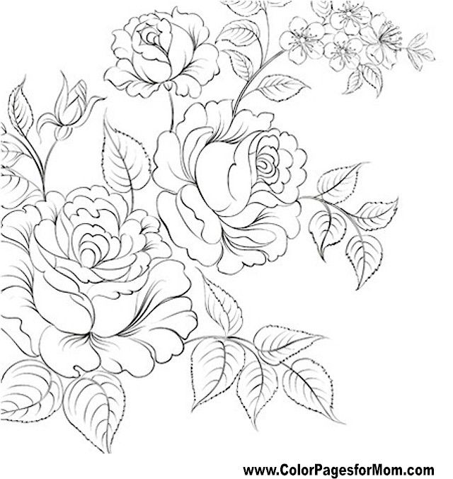 640x676 Flor Para Colorear 61 Colorear Flower