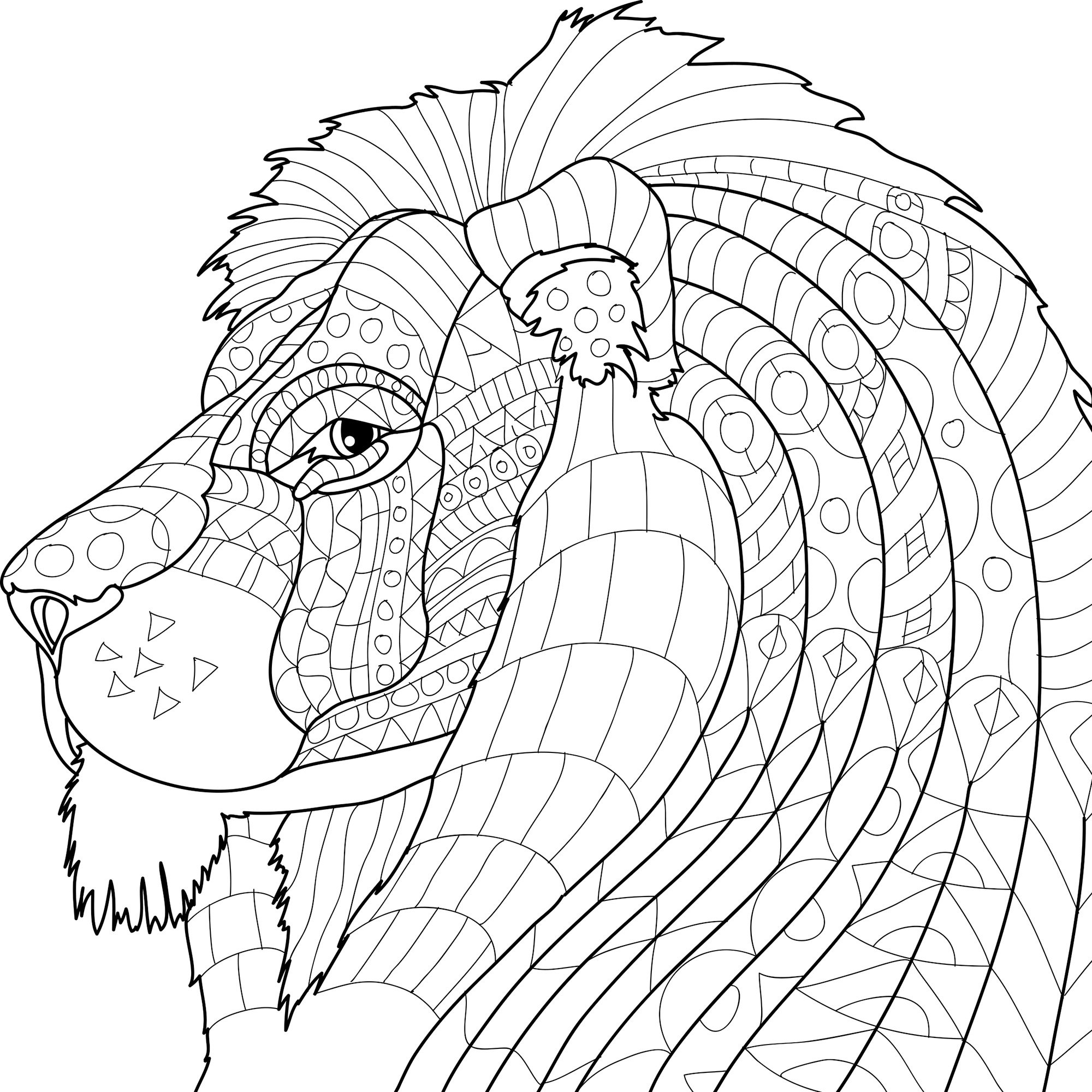 2000x2000 Animal Kingdom Adult Coloring Book Set With 24 Colored