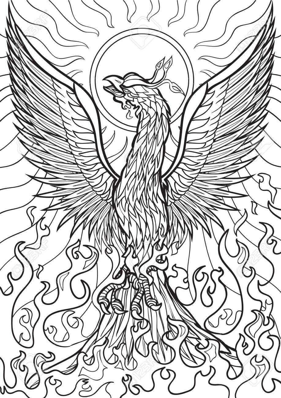 918x1300 Adult Coloring Book Pages Animals Phoenix Free Amazing Page