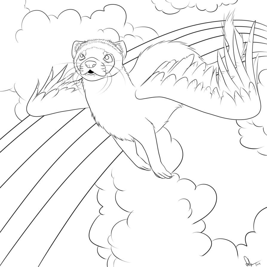 894x894 Fly (Transparent Background Coloring Page) By Idontknow350
