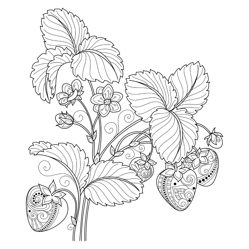 1000x1000 Adult Coloring Pages