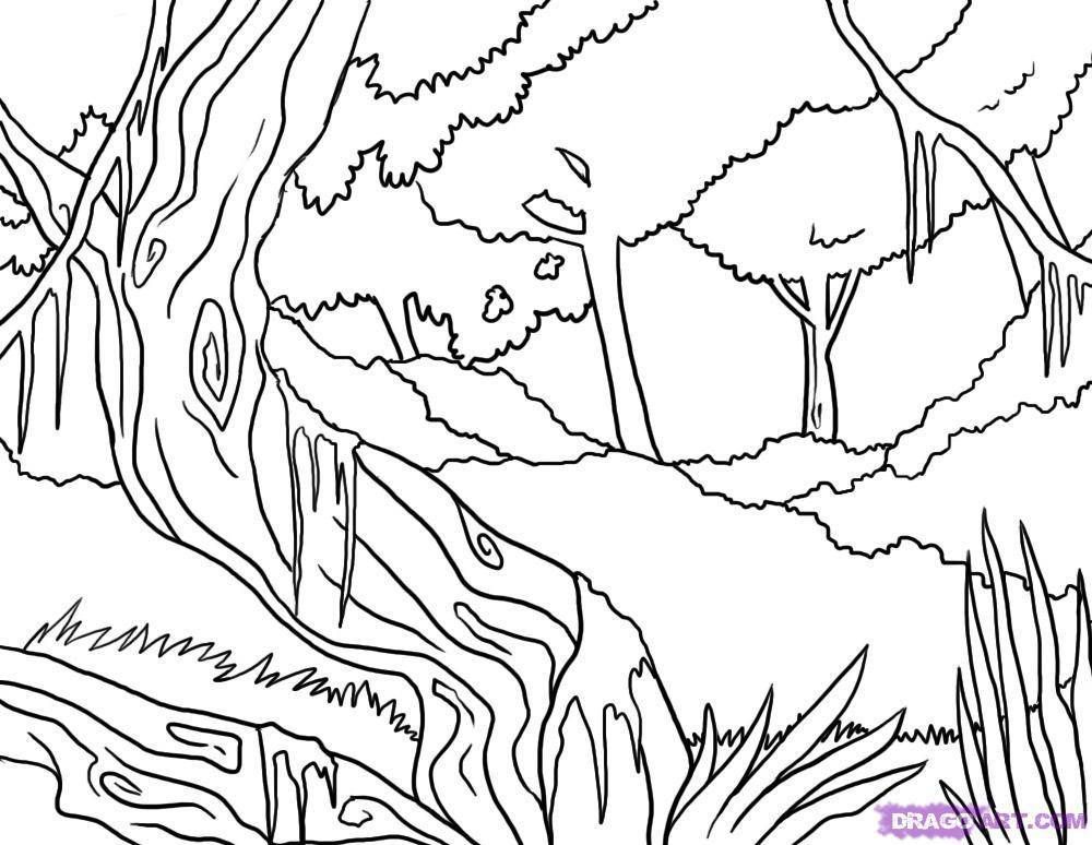 1000x774 Jungle Coloring Pages Background Coloring Pages Download