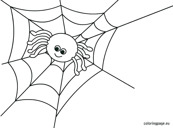 736x544 Spider Color Page The Very Busy Spider Coloring Pages Spider