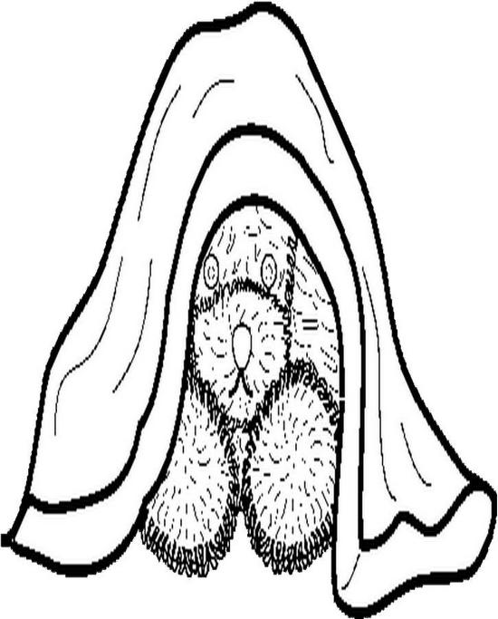 550x683 Peekaboopupbw Coloring Page