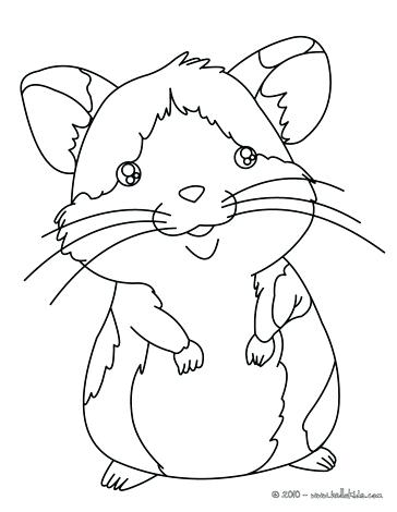 364x470 Colorful Page Border Download Colorful Page Borders Free Gerbil