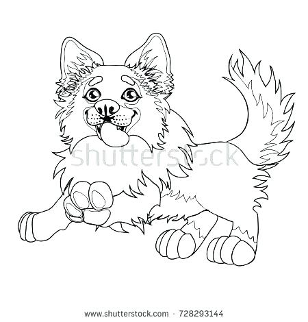 450x470 Border Collie Coloring Pages Border Collie Coloring Pages Dog