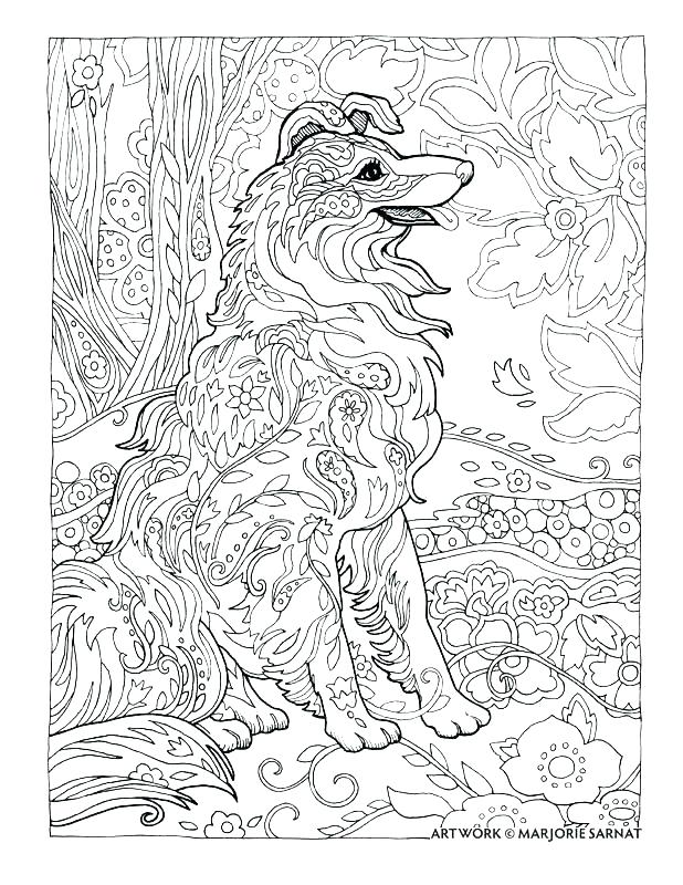 618x800 Border Collie Coloring Pages Border Collie Coloring Pages Large