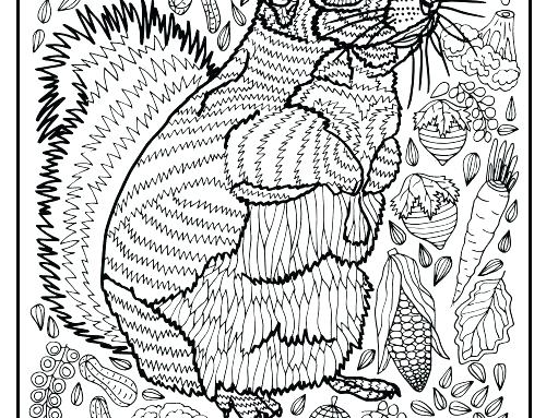 500x383 Border Collie Coloring Pages Border Collie Coloring Pages Squirrel