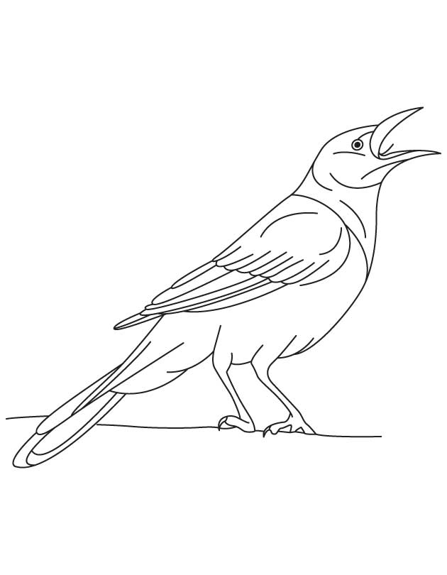 630x810 24 Crow Coloring Page Selection Free Coloring Pages