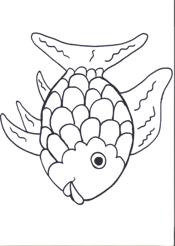 736x1035 Rainbow Crow Coloring Page Petalbum Rainbow Crow Coloring Page