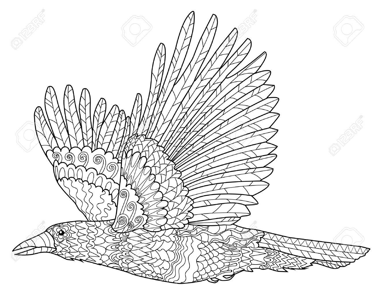 1300x1040 Wonderful Flying Crow Coloring Page Pages Crow