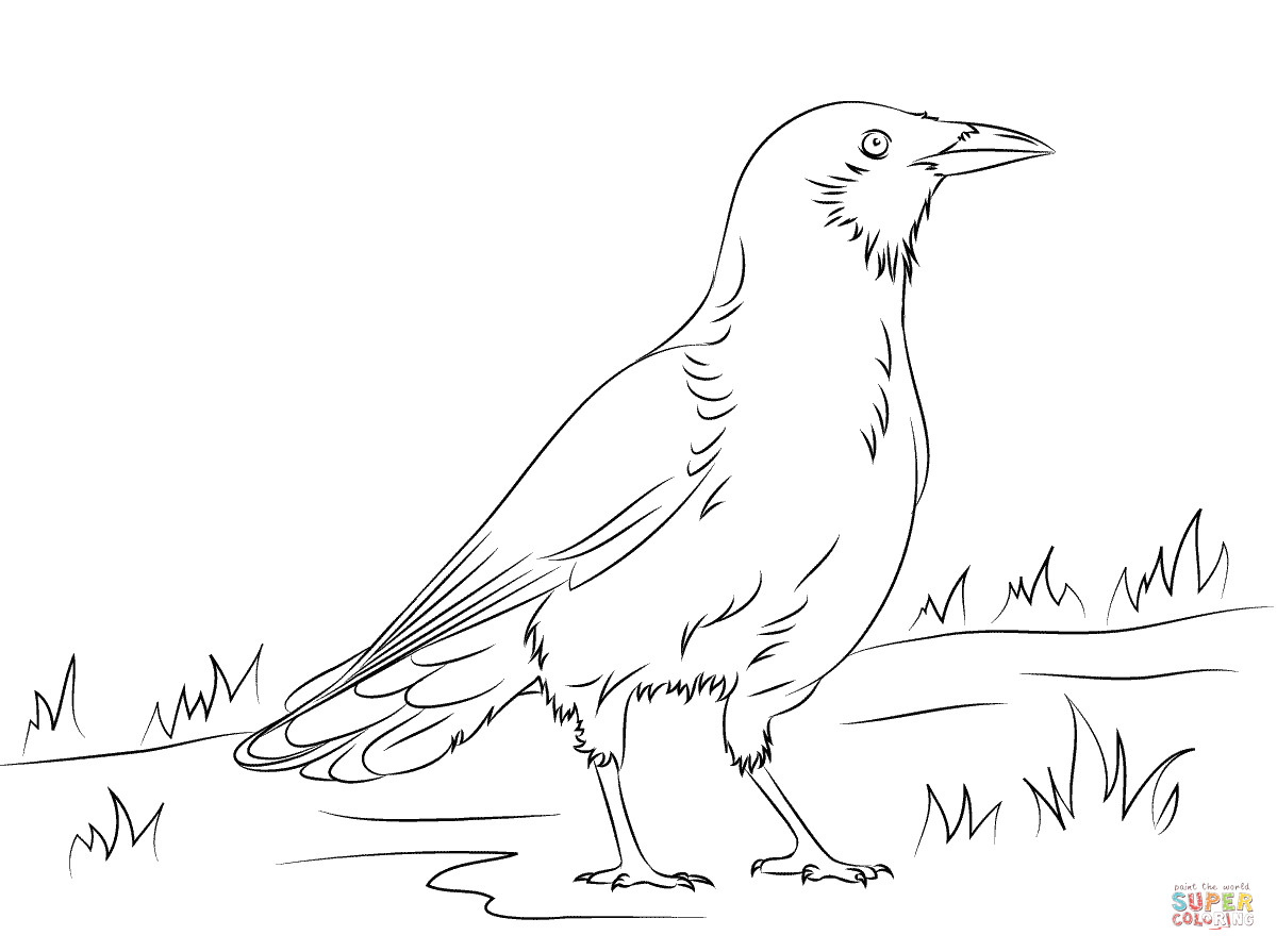 1200x895 Coloring Pages Crow