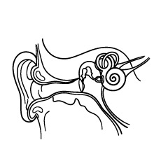 230x230 Ear Coloring Page Printable Coloring Pages