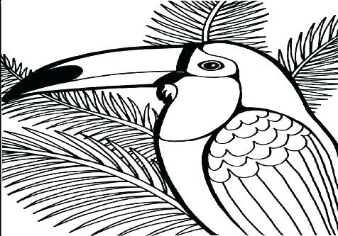 476x333 Footprints Coloring Page Free Download Footprints Coloring Page