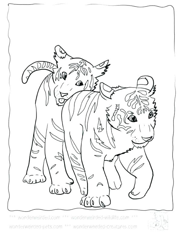 612x792 White Tiger Coloring Pages Footprint Coloring Page Baby Tiger