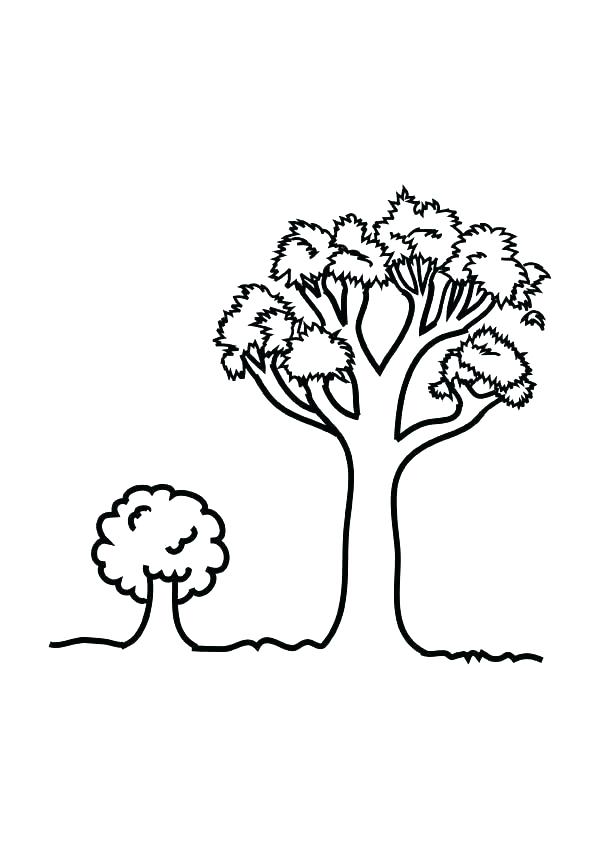 600x849 Oak Leaf Coloring Page Oak Tree Coloring Page Oak Leaf Coloring
