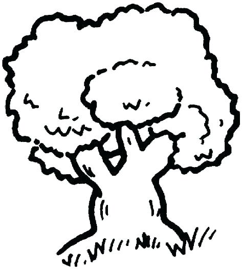 473x525 Bare Tree Coloring Page Image Images Coloring Trend Medium Size