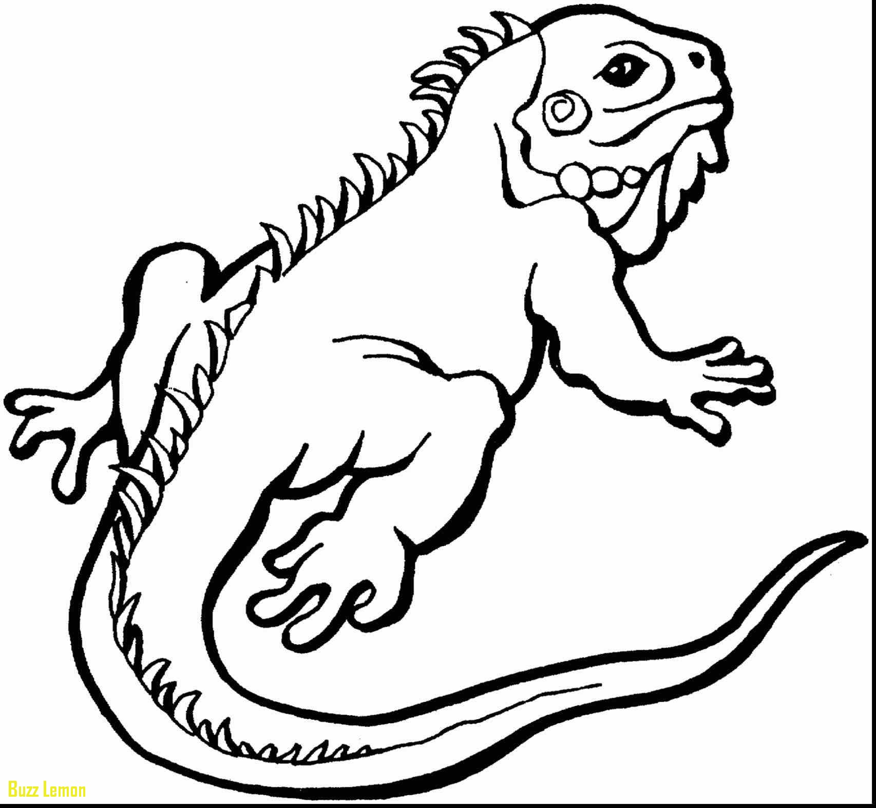 1706x1574 Question Mark Coloring Page Elegant Question Mark Coloring Page