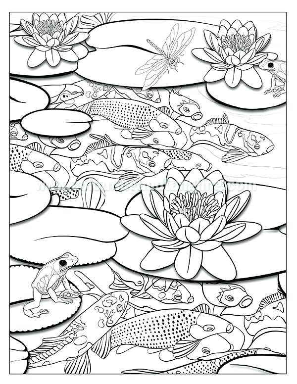 600x776 Ponds Coloring Book Coloring Pages Waterfall And Pond Coloring
