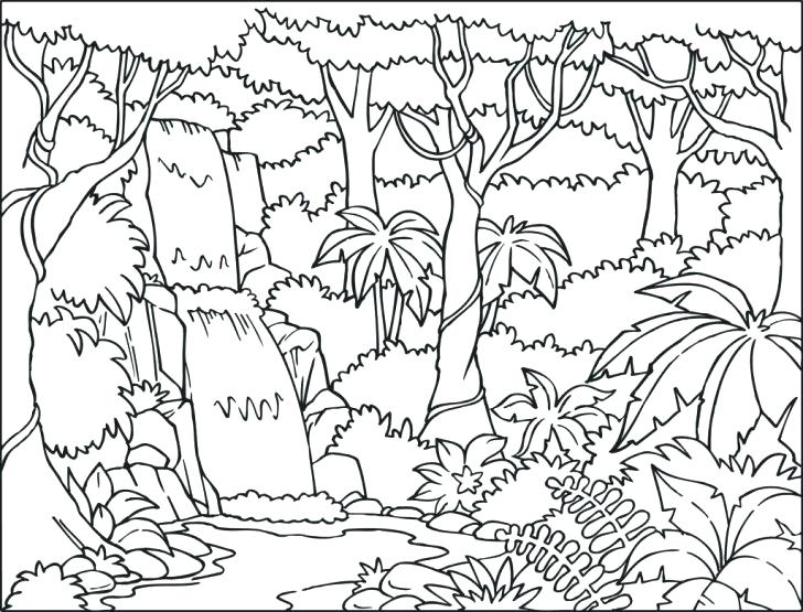 728x555 Waterfall Coloring Page Coloring Pages Beautiful Peacock On
